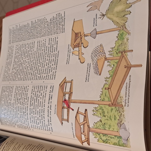 How to attract Birds/ BUNDLE ONLY 2or more items - Picture 12 of 16